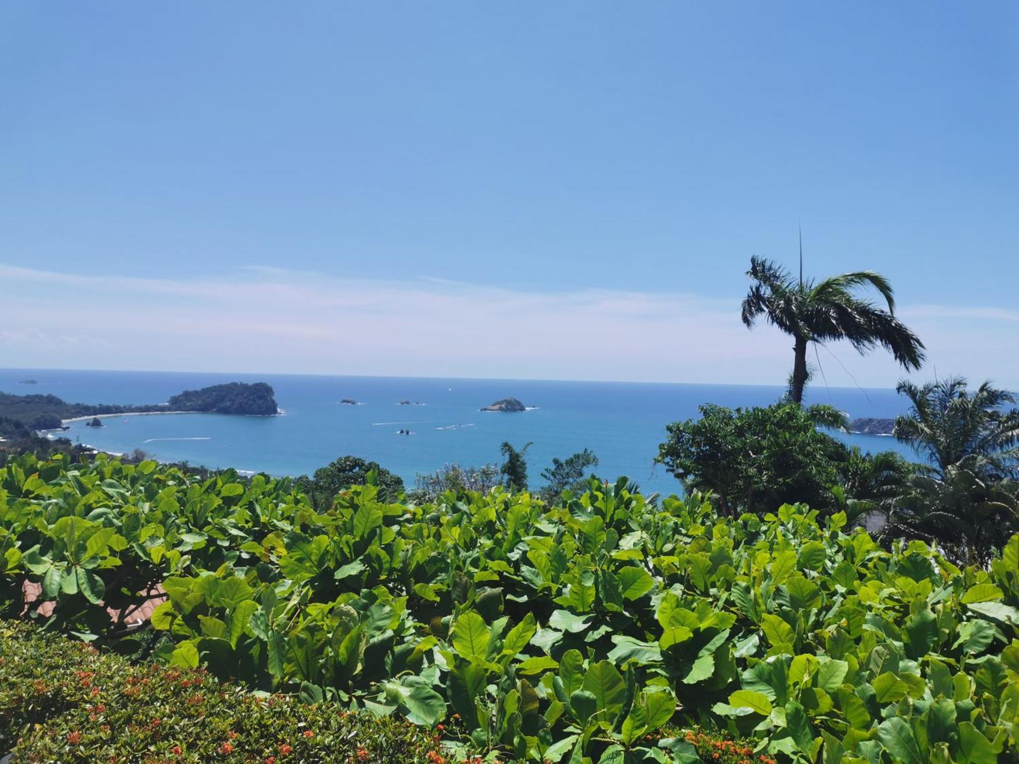 Hotel La Mariposa Vườn quốc gia Vườn quốc gia Manuel Antonio Ngoại thất bức ảnh
