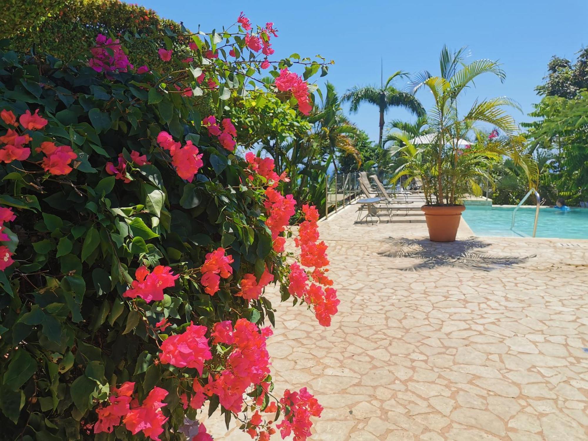 Hotel La Mariposa Vườn quốc gia Vườn quốc gia Manuel Antonio Ngoại thất bức ảnh